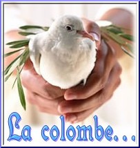 symbole-esprit-de-paix illustration-recherche-de-la-paix