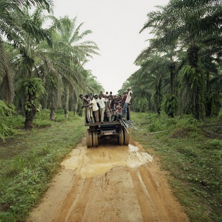 symbole exploitation humaine en Afrique exemple transport d'ouvriers dans plantation de palmiers à huile au Cameroun
