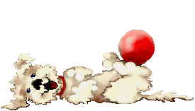 symbole 2 de l'aliénation consommatoire illustration avec caniche couché, béat, jouant avec son ballon