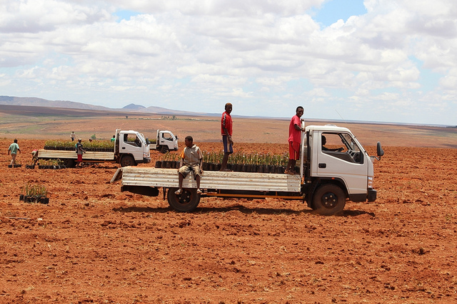 ouvriers agricoles sur le plateau dIhorombe, Centre Madagascar