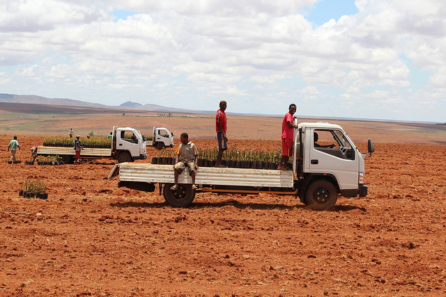exploitation des terres malgaches par société étrangère ouvriers agricoles sur le plateau d’Ihorombe, Centre Madagascar