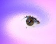 symbole de tendresse du regard illustration par art numérique : un oeil dans le mauve et rose