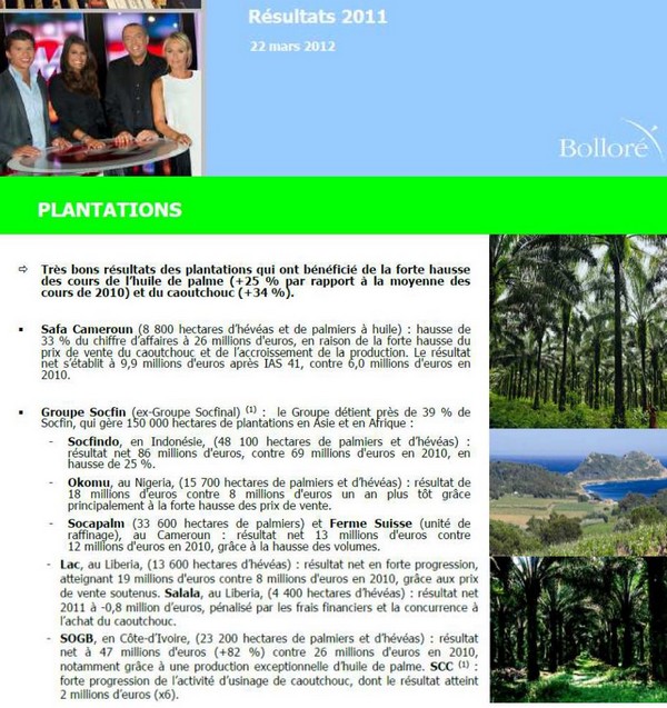 profits du groupe Bolloré mentionnés pour plantations en Afrique copie numérisée d'un extrait de rapport financier du groupe Bolloré