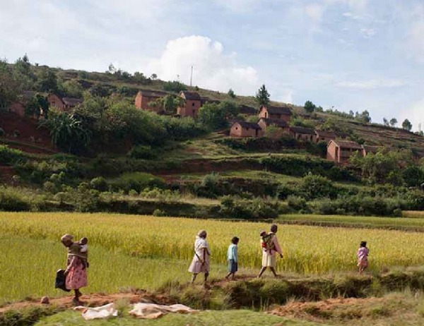 femmes et enfants malgaches revenant des champs photo de famille malgache traversant champs de culture au pied d'un village