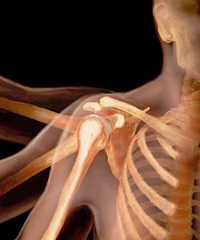 évocation des tests osseux très discutables illustration avec os de squelette humain, dans la partie de l'épaule