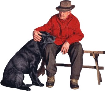 évocation de solidarité alimentée par systèmes de retraites image de vieillard en veste rouge sur banc, caressant son chien noir