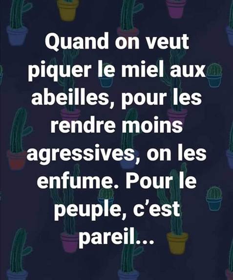 le vrai danger de l’urgence sanitaire, l'enfumage ! image porteuse d'un message qui compare le peuple à des abeilles...