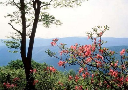 illustration-poème symbole_contemplant-nature-collines