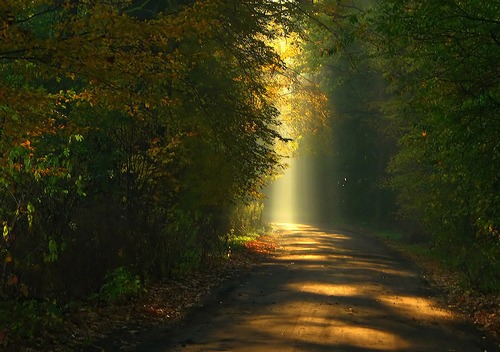 illustration-poème symbole_moments-lumiere