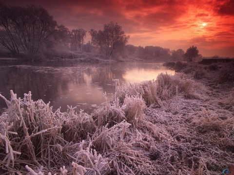 illustration texte 2, notre astre a grand besoin de secouer ses puces photo de ciel rouge et d'une nature gelée au bord d'une rivière