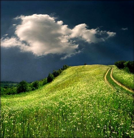 illustration-poème - to follow the path you recommended - image symbole pour to follow the path recommended