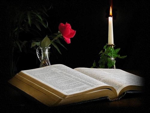 symbole_absence-souvenir, livre ouvert, rose rouge et bougie allume
