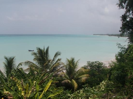 verdoyantes forêts...bleu de la mer...et la terre valent plus que l'argent. photo de vue maritime, frondaisons tropicales bordant une anse à Haïti.