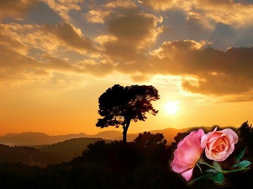 illustration-poème pour - Dans ce ramassis d-ombres qui traîne sur la plaine, la vie encore trouve son nid... - symbole_Dans ce ramassis d-ombres qui traîne sur la plaine, la vie encore trouve son nid...