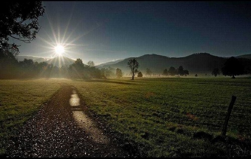 illustration-poème symbole_car-sachez