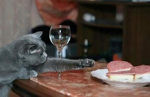 illustration-poème symbole_banquiers