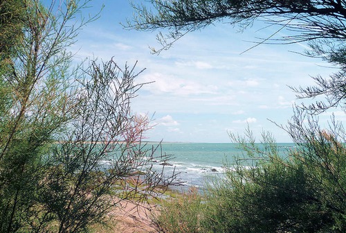 illustration-poème, blotti dans son coin, respirer loin des avantages symbole_simplement