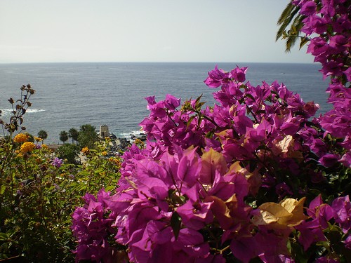 illustration-poème symbole_cap-destinee