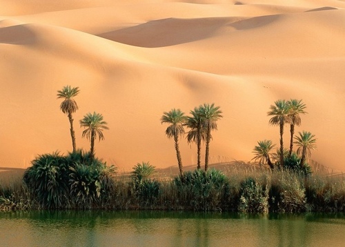 illustration-poème, ventre en ondulation...des dunes symbole_mots-dans-le-vent, oasis, dunes