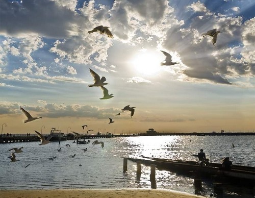 illustration-poème, un horizon qui sourit à l’aube symbole_cheminement-poete, oiseaux, jetée